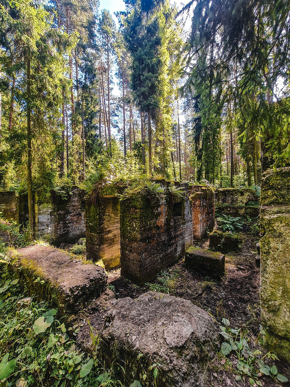 Bibiela flooded mine