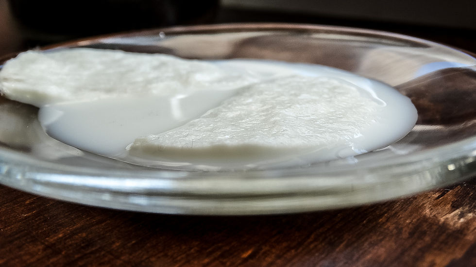 cotton pods in milk