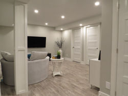 Contemporary basement reno