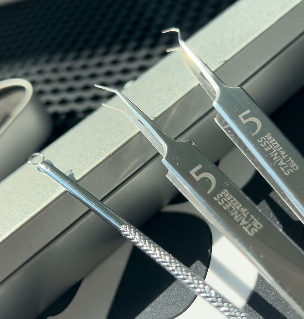 Techniky extrakce pórů s HANGI (6600Kč)