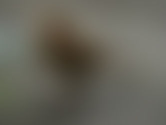 The End of the World