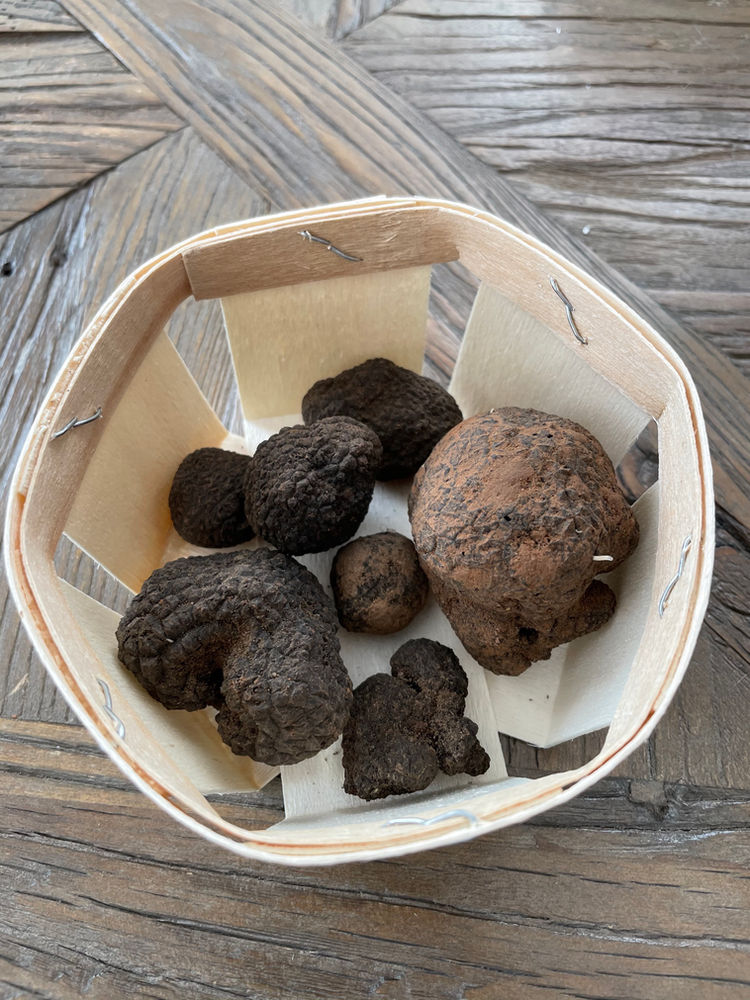 The High Cost of Truffles Certain Age Magazine
