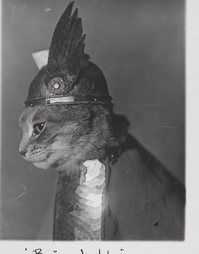 Writer: Christine Venzon