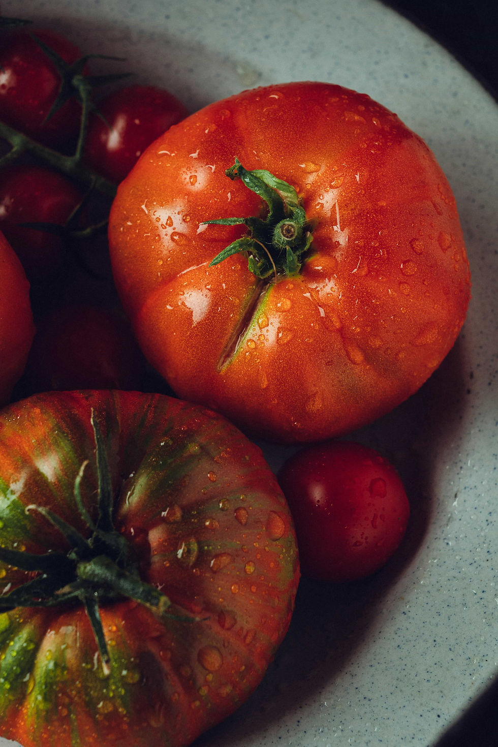 Photo of red tomatoes against a white background.