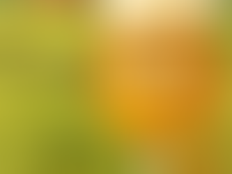 Behind the Brew: What Makes a Saison a Saison? 🌾