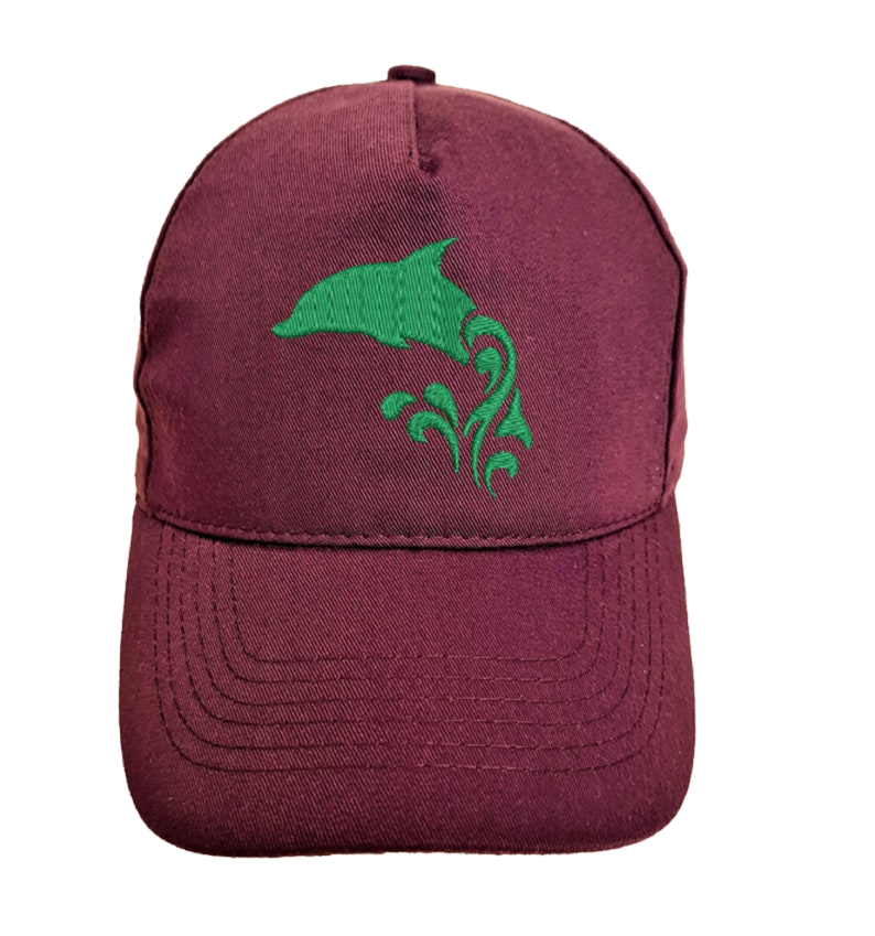 Thumbnail: Kids Dolphin Logo Embroidered base ball cap hat
