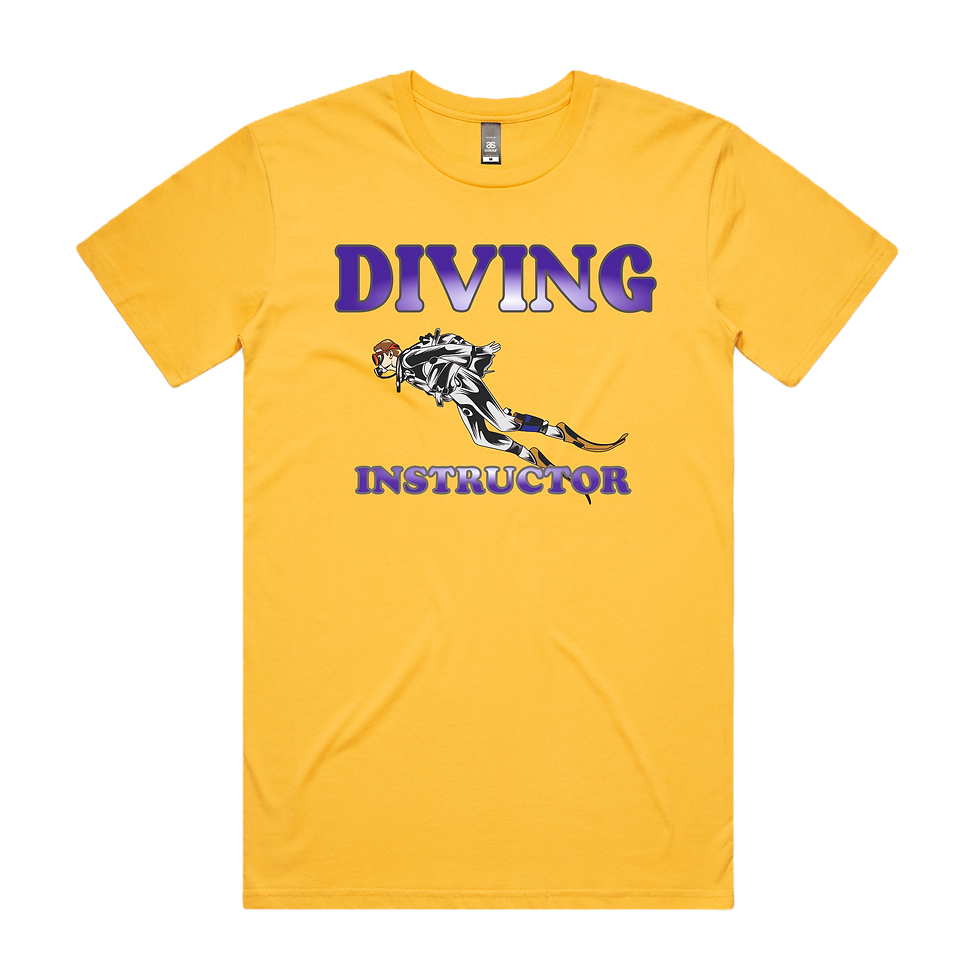 Diving Instructor DTG Printed T Shirt Unisex
