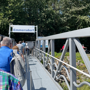 Tips for Choosing the Perfect Shore Excursions