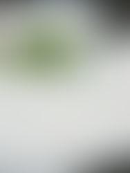 香港の朝ご飯「粥」