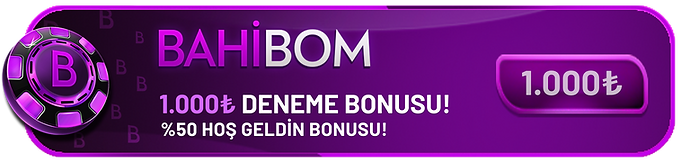 bahibom site tasarım.png