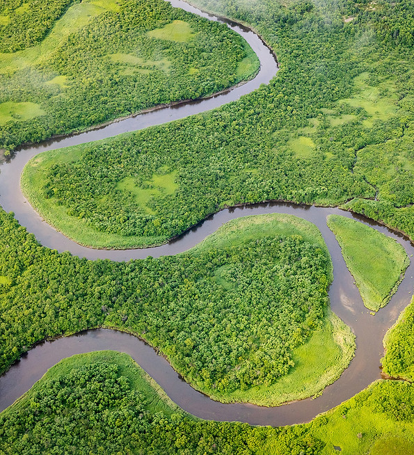 An aerial shot of a river winding through a vivid green landscape