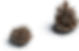 AdobeStock_506649124.png