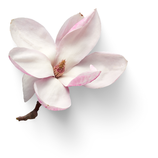 Untitled design (47).png