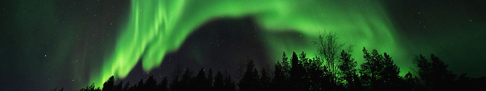 Aurora Dragon._edited.jpg