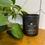 Thumbnail: Autumn Fallen Leaves Candle | 15oz Handmade Soy Wax Candle | Unique Fall Candles