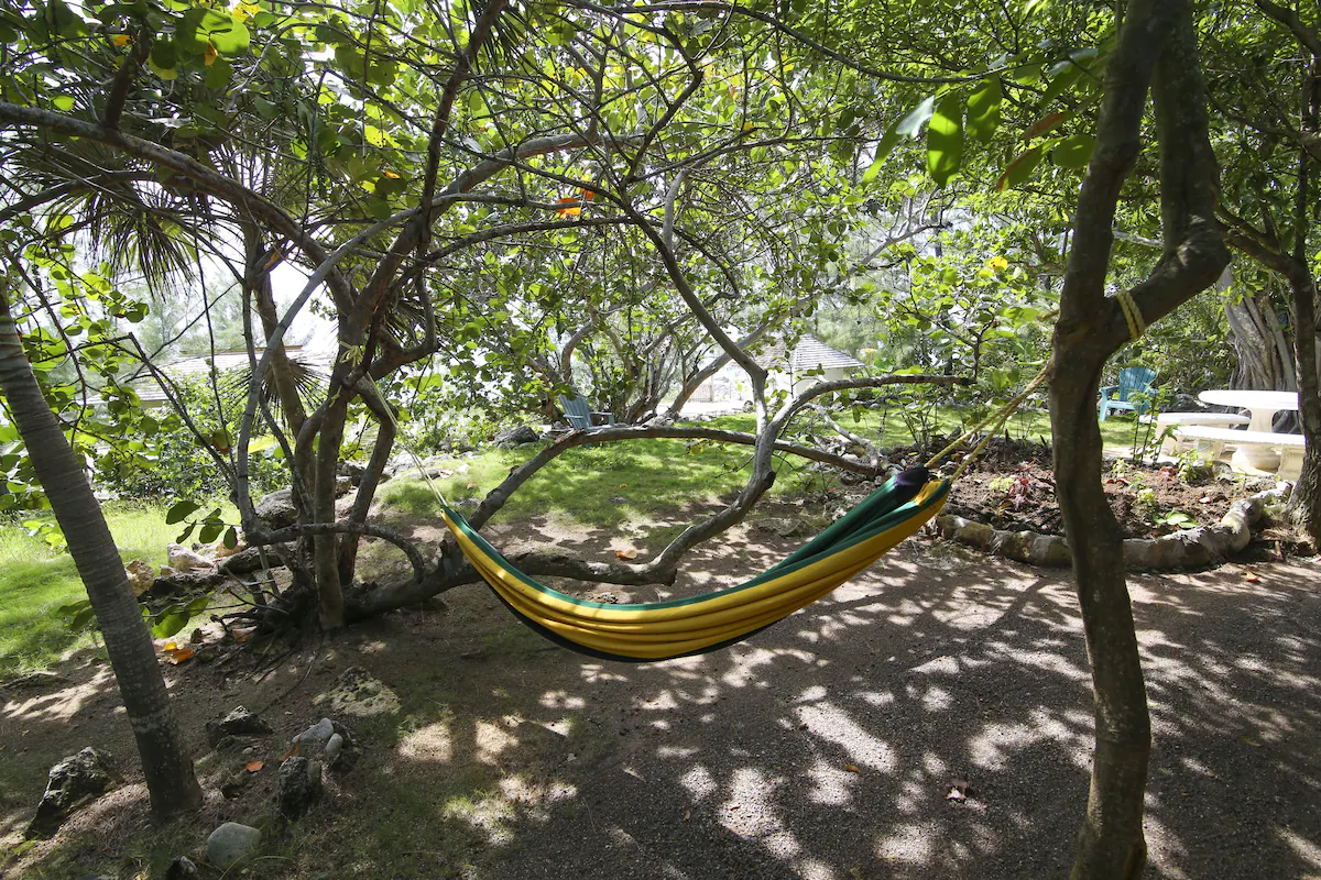 hammock.webp