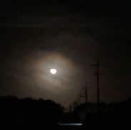 IMG_4640.jpeg