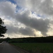 IMG_4663.jpeg