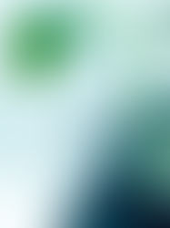 El Matrimonio, ¿una Empresa o dos comerciantes individuales?