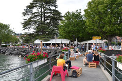 65114047_2216175811785314_5733067134343315456_o