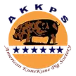 akkps-logo.png.webp
