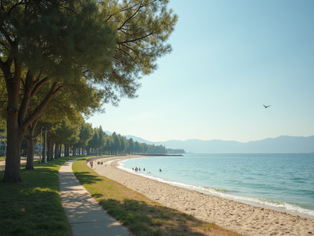 Istanbul to the Black Sea Coast by Campervan