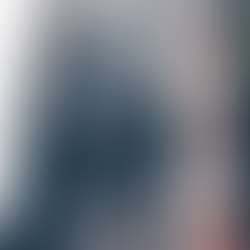 Antwerp's Bookshop Charm