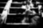 construction-worker-pouring-cement-on-stairs-crea-2024-09-12-09-53-45-utc-2.jpg