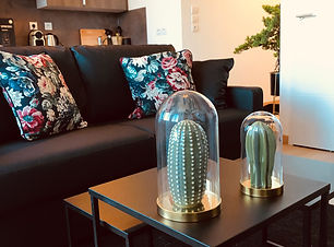Location appartement meublé Lyon LOKKAP