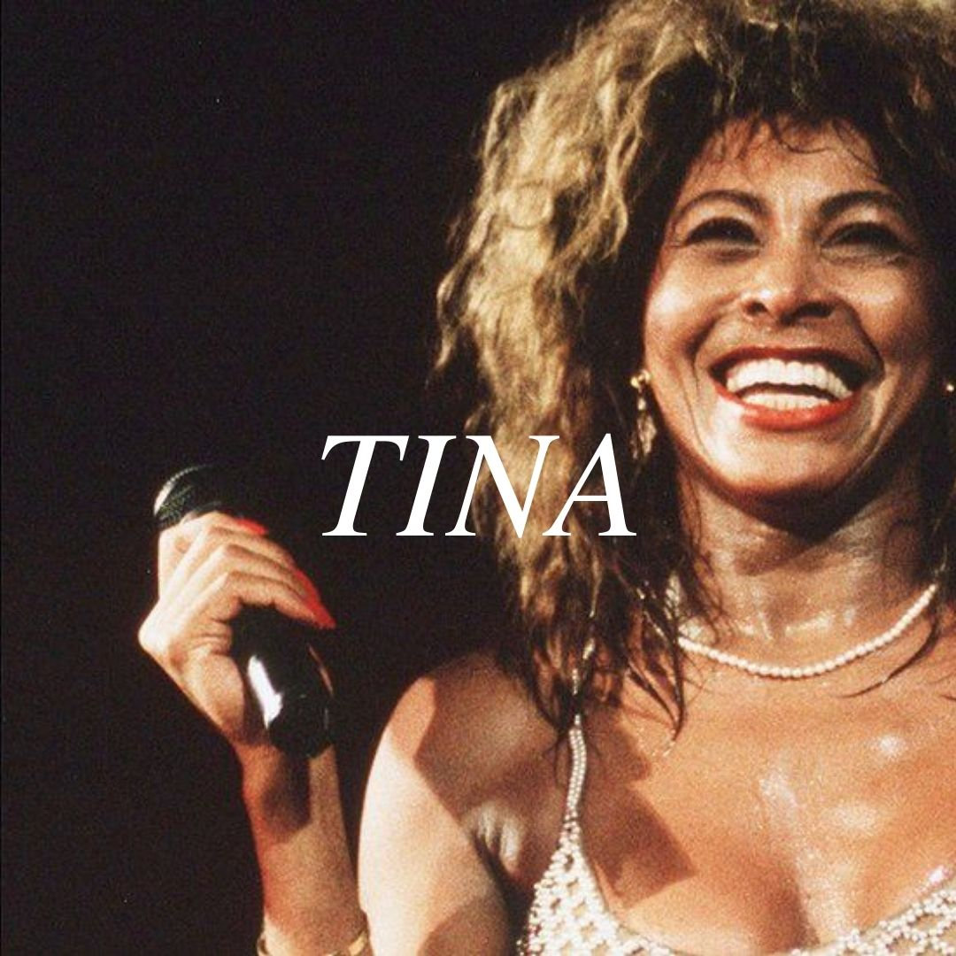 Tina Turner visual data 6