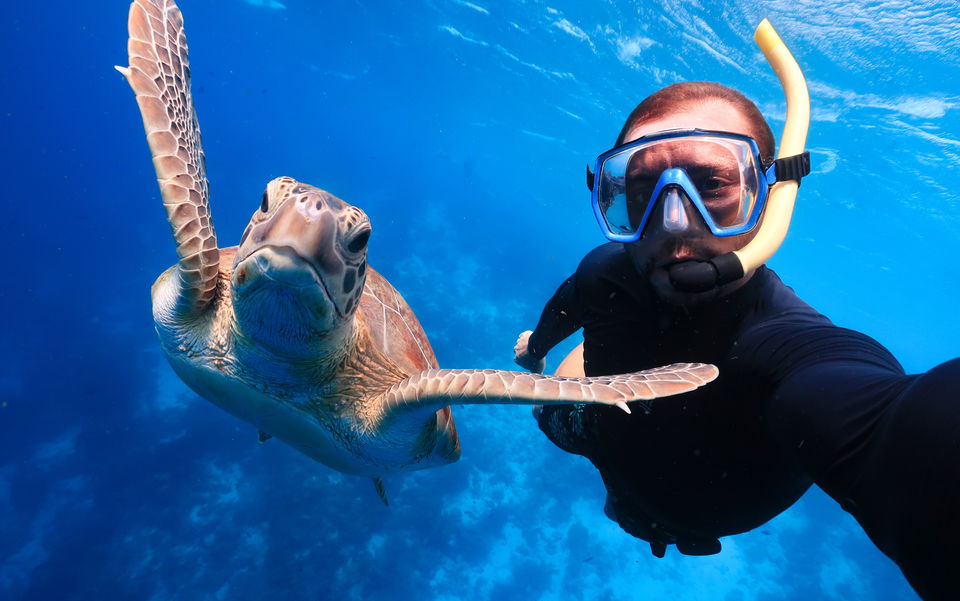 You dive we shoot have photos taken of you while diving Kralendijk bonaire scubadiving scuba diver coral reef fish bait ball manta ray turtle octopus paradise underwater photographer photography