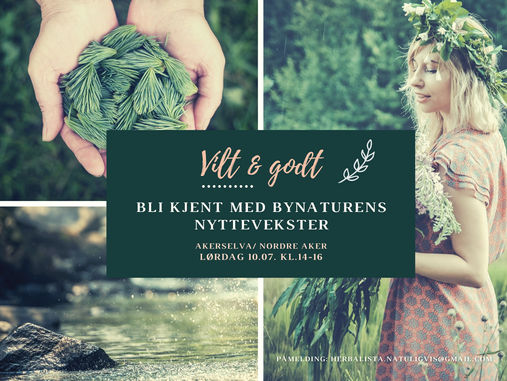 Vilt & godt - Bli kjent med Bynaturens nyttevekster