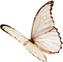 hiclipart.com (52).png