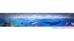 CEM_Broadcast_Design - 5