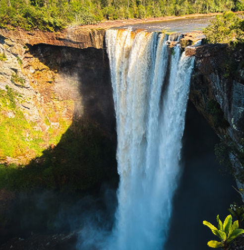 View of Kaieteur Falls in Guyana’s rainforest, one of the tallest single-drop waterfalls in the world, surrounded by lush tropical vegetation near Georgetown.