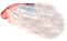 layout_0000s_0005_woman-back-eye-R.png