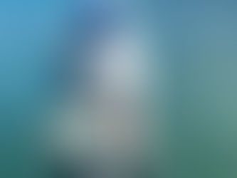 Breaking World Records: Ken Watkins & Guide Darrel Smith Rewrite Permit History in Belize