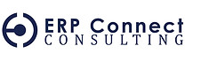 erp connect consulting.jpeg