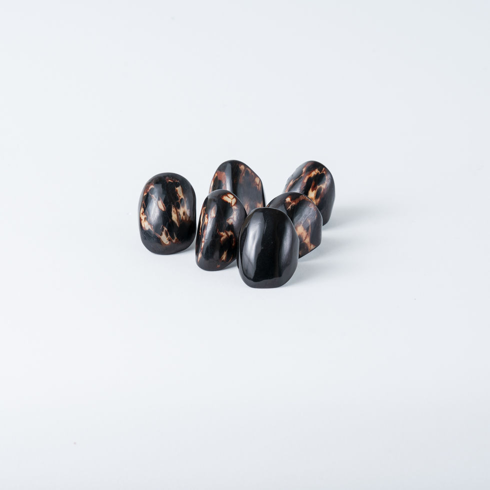 Black tagua rings