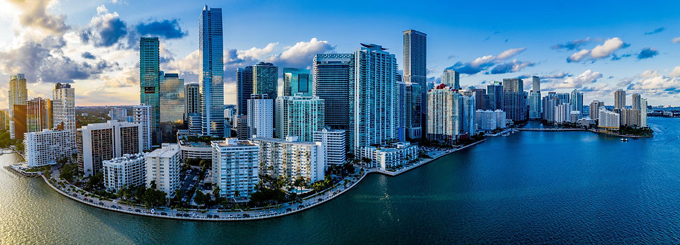COMPREHENSIVE IT SUPPORT IN DOWNTOWN MIAMI