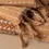 Thumbnail: Chickpea Towel Collection | Terracotta/Clay