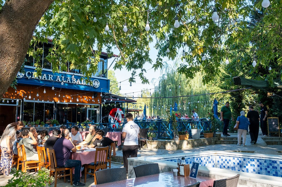 Çınar Alabalık Mustafakemalpaşa – doğa içinde açık hava restoran, alabalık ve mangal keyfi