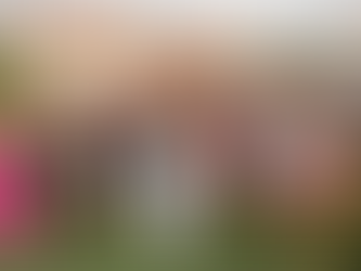 Beatadesign Karrier Program - online, profi lakberendező képzés