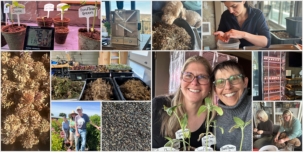 bend seed company wildflowers gardening