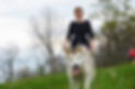 cani rando nordicevent74.JPG