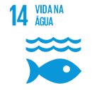 ODS14.png