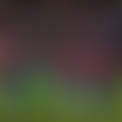 Derbi azulgrana en el mes más valenciano 