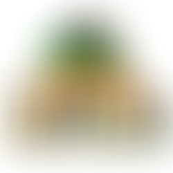 Rebel Salute USA Debut Postponed – New Date Locked for 2026!