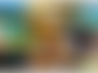 Malediven & Doha Luxusurlaub - Planung & Ablauf