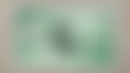 Die American Express Green Kreditkarte